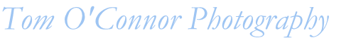 Site Title